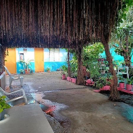 Pete'S Inn Roxas Exterior foto